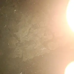 premium green natural bracelet