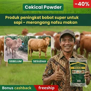 Cecical 1 kg, produk peningkat bobot super untuk sapi, merangsang nafsu makan – membantu sapi makan dengan baik, pencernaan stabil – peningkatan bobot yang aman, membantu sapi mencapai bentuk tubuh standar sebelum musim penjualan