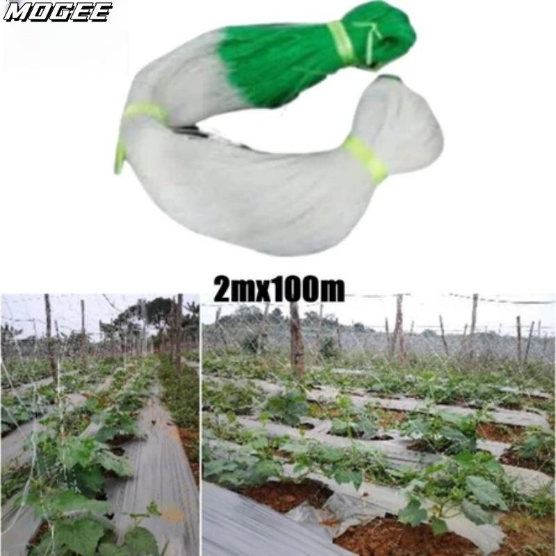 2M X 100M Giàn Lưới Hỗ Trợ Trồng Cây Dây Leo,Lưới Làm Giàn Cây Leo: Dưa Chuột Khổ Qua Mướp Bầu Bí