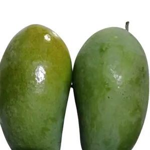 Mangga Kiojay per buah rujakan renyah segar Makanan