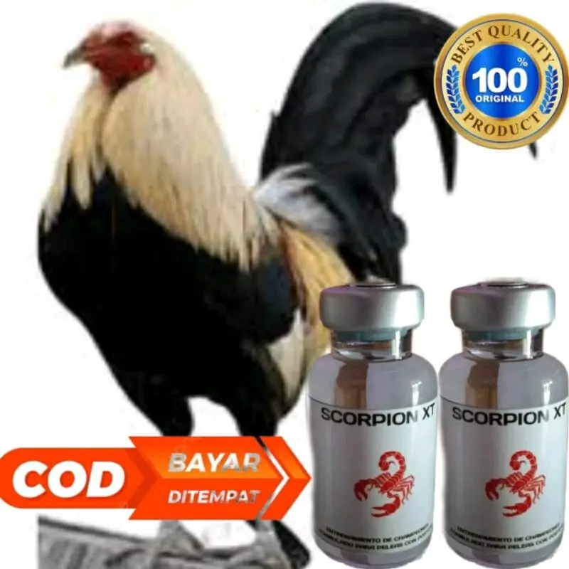 Scropio XT Doping Ayam Taji Berkualitas Sabung Ayam SCORPIO XT philipin
