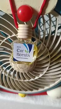Product Review of Parfum Mobil Dan Ruangan Aroma Terapi Essential Oil 10ml - Gratis Packing Bubble Wrap & Dus from r**a 0