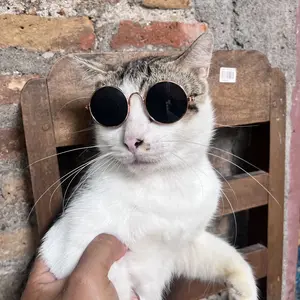 SC Kacamata Hitam Fashion Kucing Anjing Hewan Peliharaan Sunglasses Aksesoris Anabul