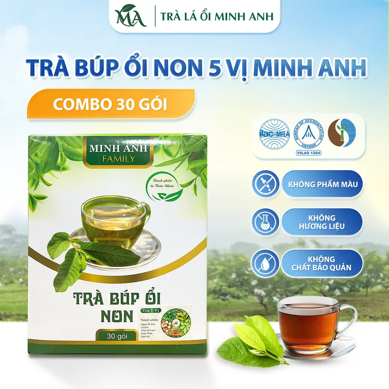 COMBO 30 Túi Lọc 5 VỊ BÚP ỔI NON [Ngọn Ổi Non - Cam Thảo - Cà gai leo- Lá Sen - Gạo Lứt] tặng 5 túi 0