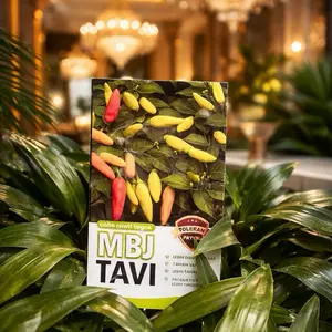 Benih Cabe Rawit Tegak MBJ TAVI Asli 10 Gram Tahan Virus & Produktivitas Tinggi