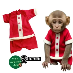 baju hewan monyet peliharaan