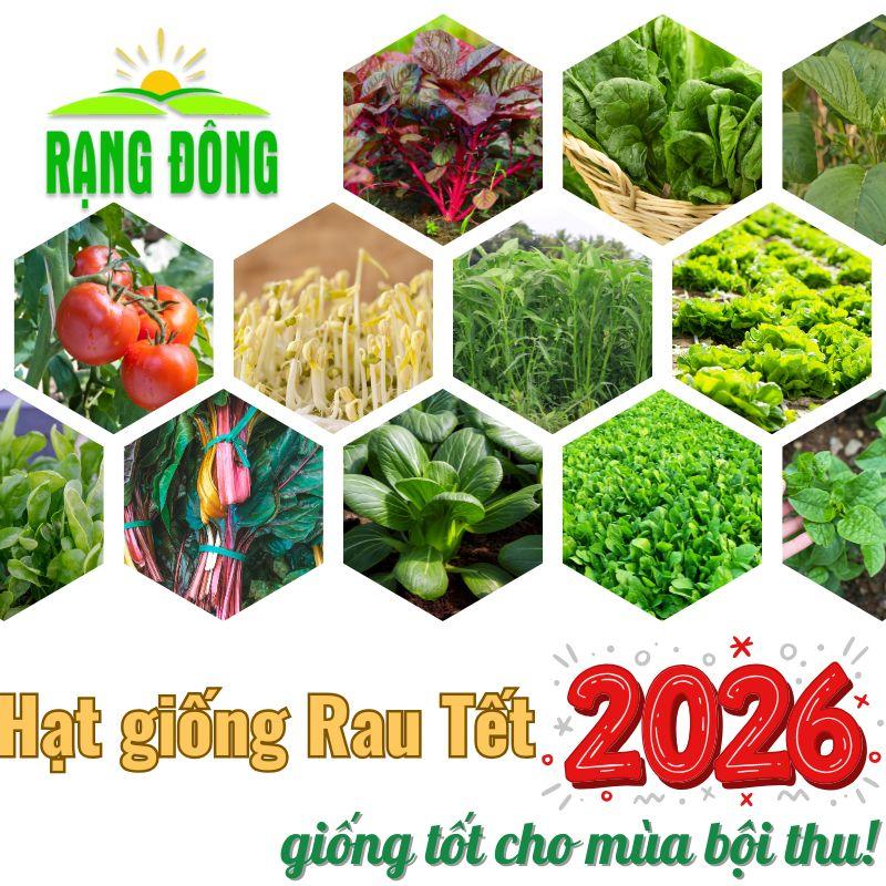  Hạt giống Rau Củ Quả Mùa Vụ Tết 2026 Năng Suất Cao Nảy Mầm Tốt Trồng Chậu - Hạt giống Rạng Đông 