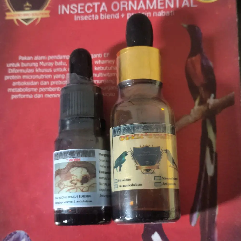 maestro dc + Tworm, multi kandungan herbal yg diperuntukkan buat burung ciak / cabul dada perut syap ekor serta mnstabilkan emosinya yg tinggi over