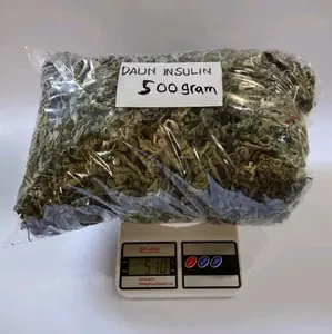 Daun Insulin Kering Obat Diabetes dan Anti-Kangker