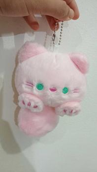 Product Review of Plushie Keyring Doll Enhypen from L**h 2