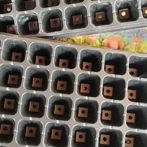 Tray Semai Bibit 21/32/50/72/105/128/200 Lubang, Pot Penyemaian dengan Drainase Baik untuk Benih Sayur Bunga Tanaman dan Kebutuhan Berkebun