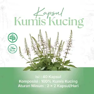 KAPSUL KUMIS KUCING | HERBAL | HALAL