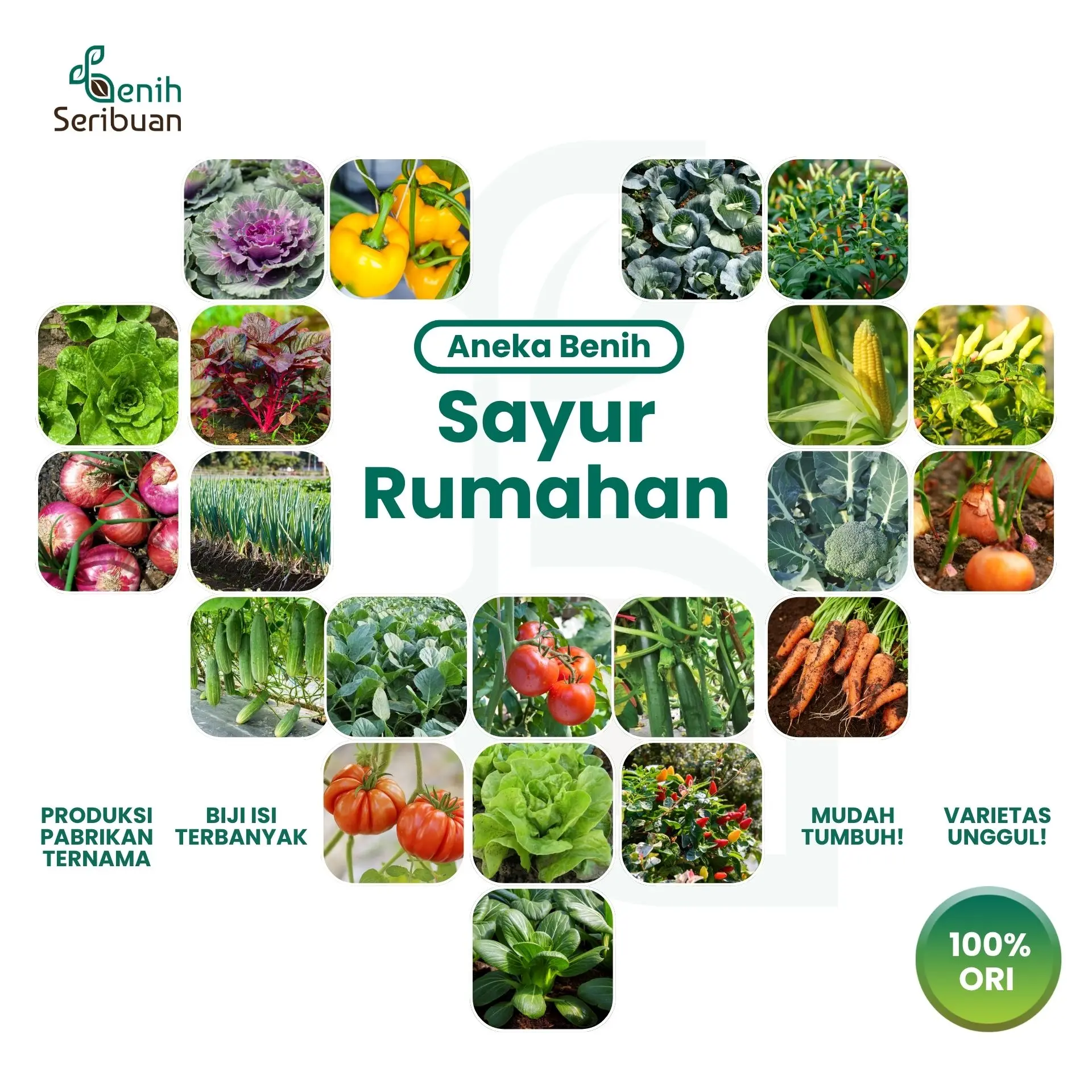 Aneka Benih Sayur Sayuran Paket Lengkap Varian Unggulan - Benih Seribuan