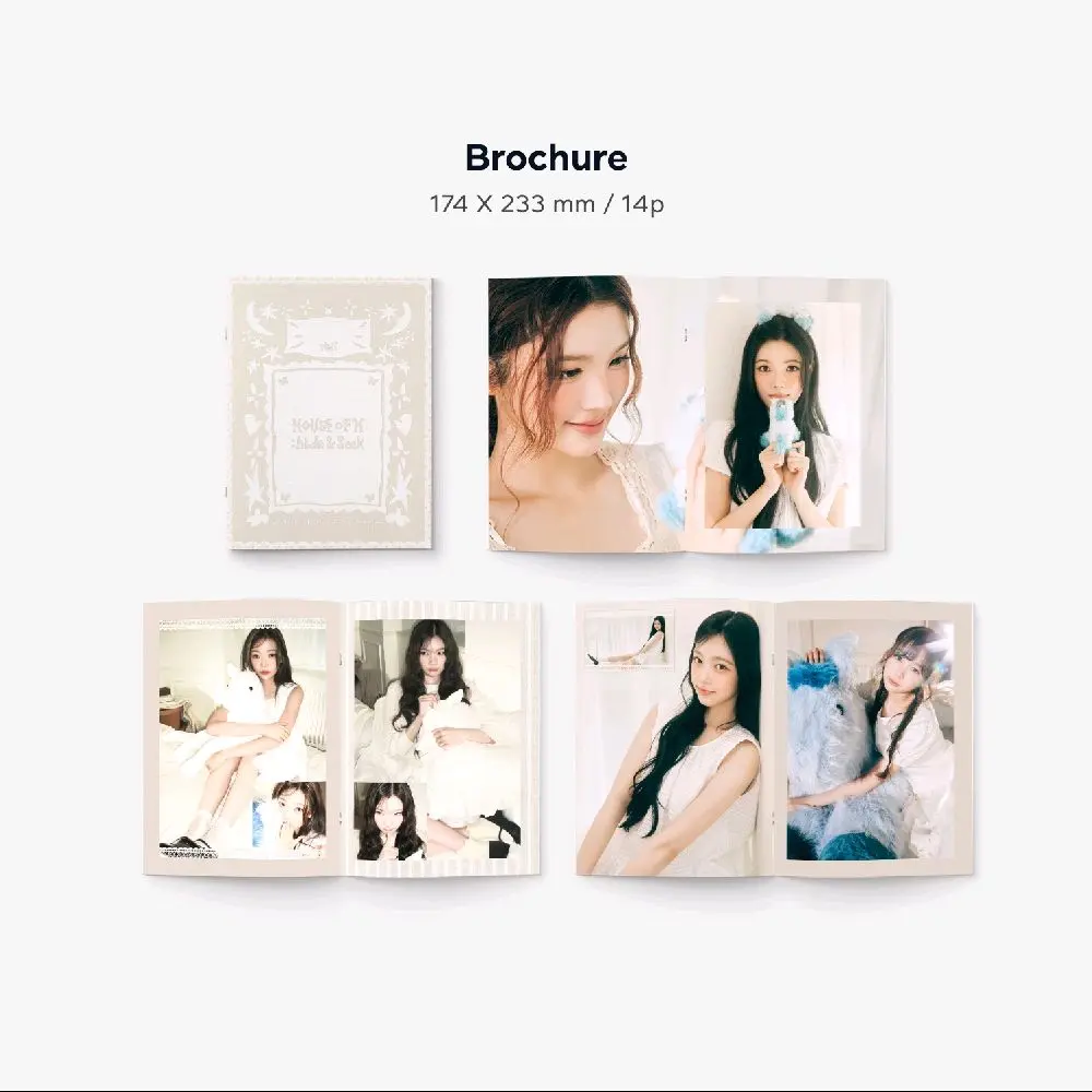 brochure (photobook)