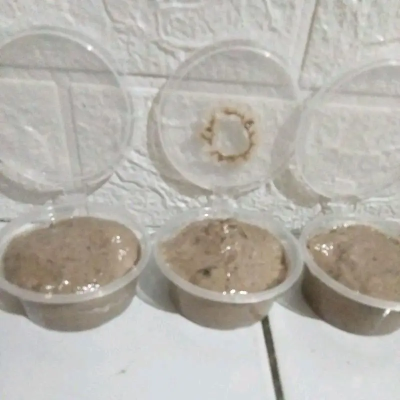 PULUT BURUNG BERAT 41 GRAM isi 10 kaV 4