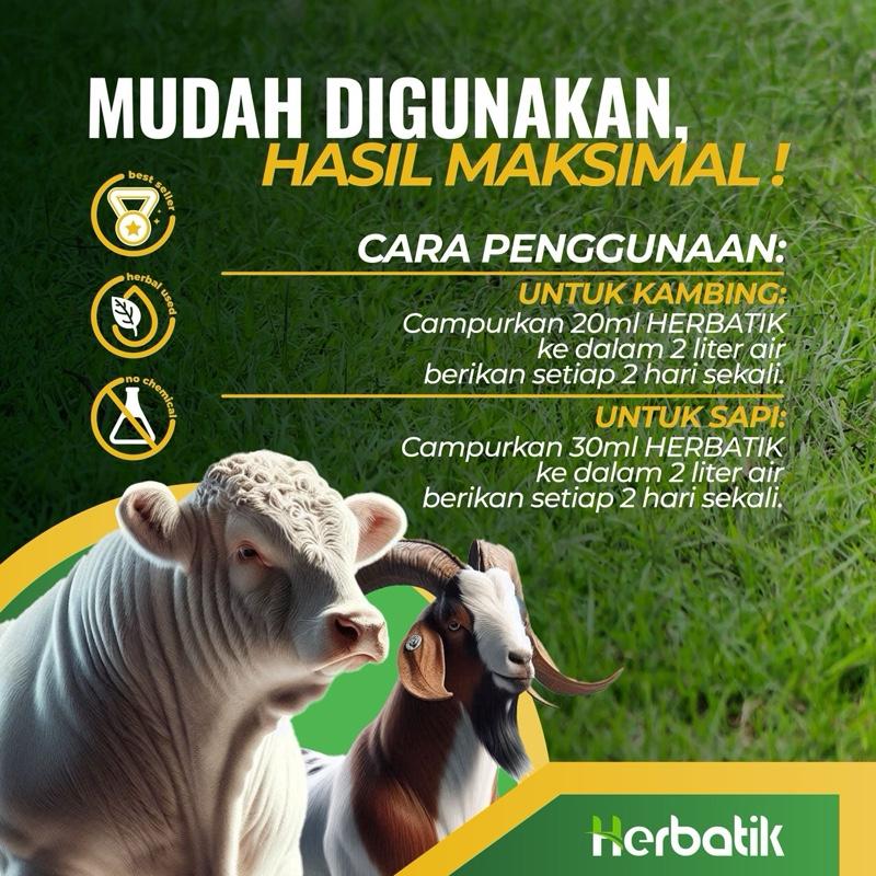 Herbatik Pengemuk Sapi & Kambing - Bobot Naik Cepat, 100% Herbal Alami, Tanpa Efek Samping! 3