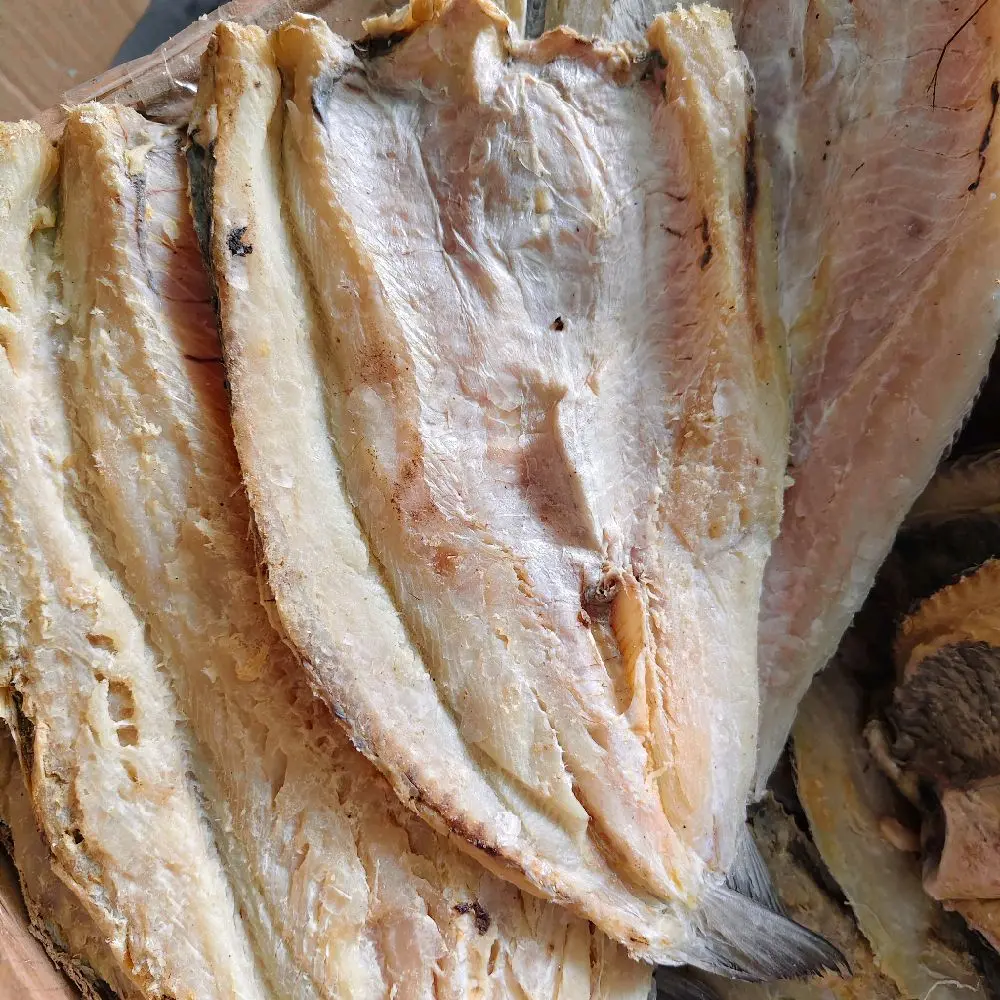 PROMO ikan asin gabus laut/ikan jambal bloso kering - Premium, Daging Tebal & Gurih
