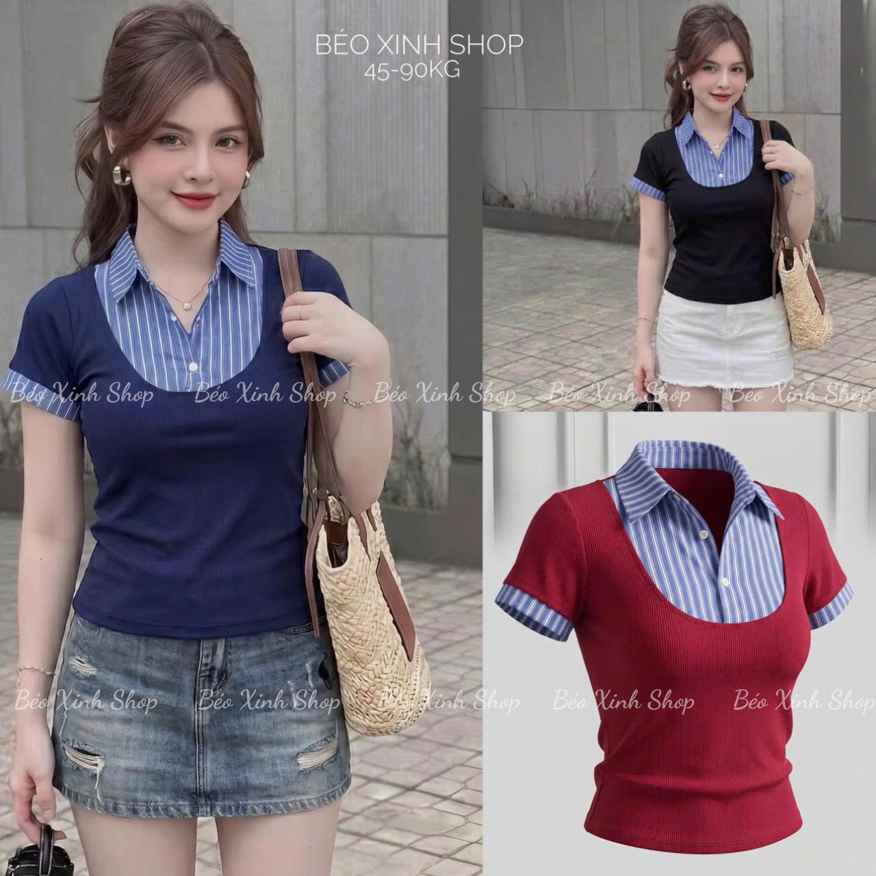 Thời Trang Bigsize Áo Thun Polo Phối Sọc Cotton Cao Cấp Thanh Lịch Vải Thun Gân Tăm Bigsize Từ 45 - 90Kg Dễ Thương Top Nữ Women - B.1804
