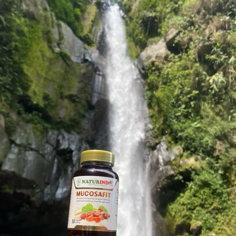 Herbal Asam Lambung Gerd Maag Gangguan Pencernaan Isi 50 Kapsul BPOM - Obat Herbal Alami 4