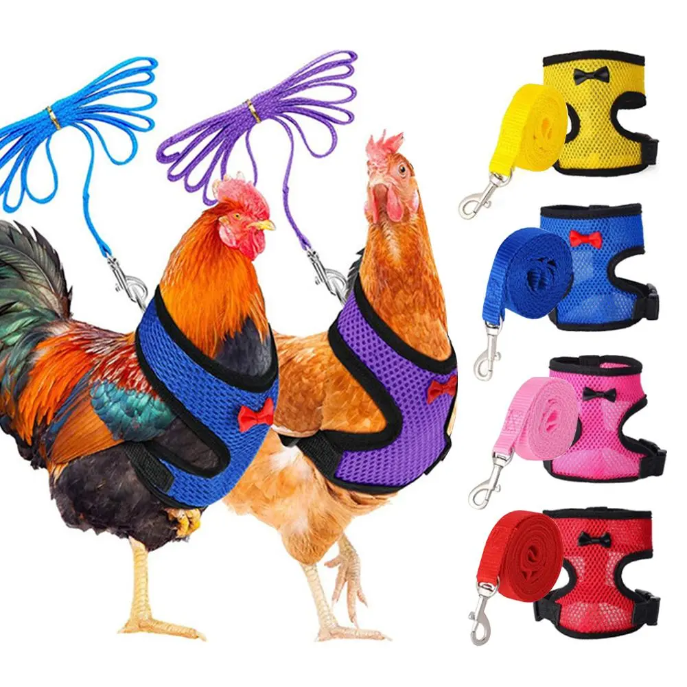 Breathable Mesh Chicken Duck Vest Leashes Poultry Hen Pet Harness With Matching Training for Walking Duck Goose Hen Rooster #436296