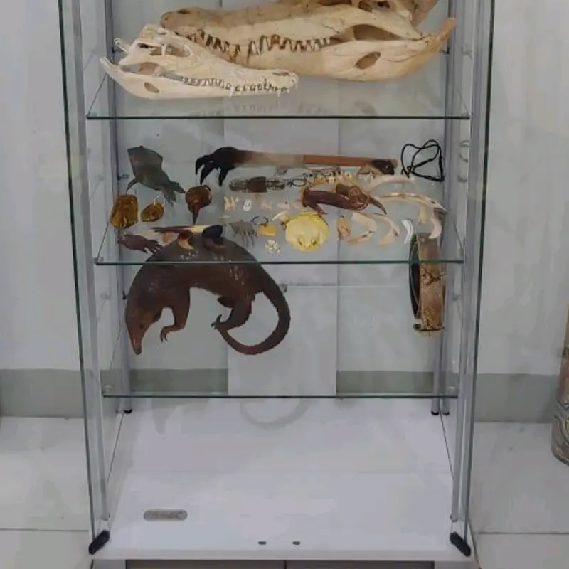 Lemari pajangan kaca / lemari etalase Hp / lemari tas / lemari koleksi mainan anak / lemari pigura 2