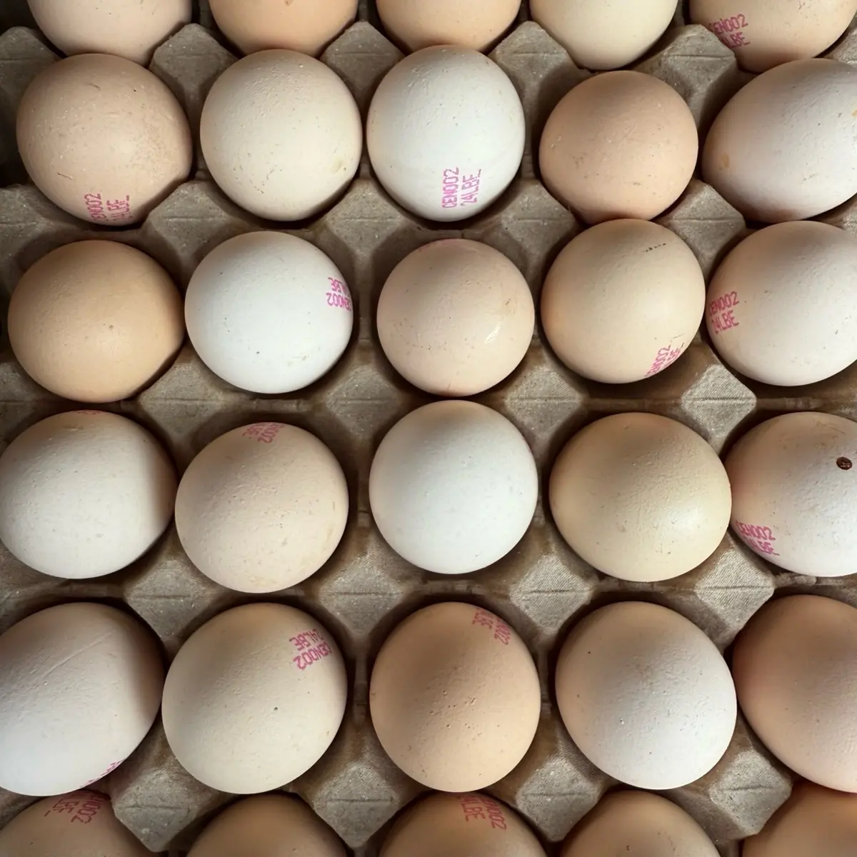 Fresh Kampung Eggs 30PCS (TRAY)