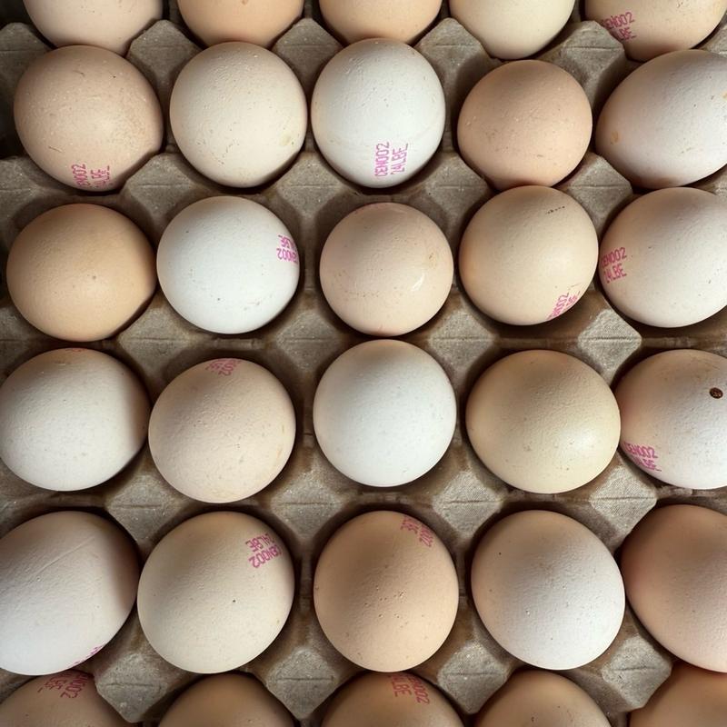 Fresh Kampung Eggs 30PCS (TRAY) 0