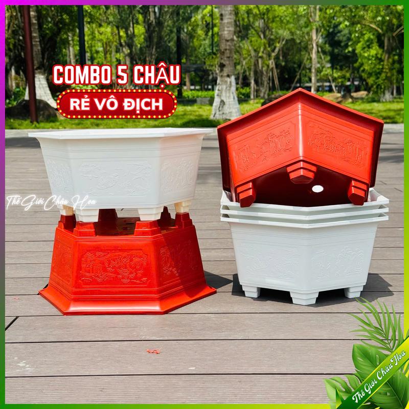 5 Chậu ang bon sai lục giác Chậu nhựa trồng hoa và cây kiểng bon sai mini trang trí nhà cửa sân vườn