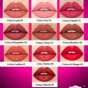 LIPCREAM CEISYA MATTE RINGAN DI BIBIR