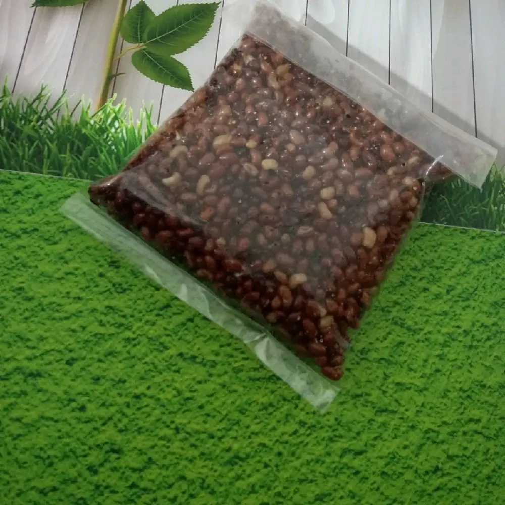 kacang tunggak,kacang tolo,enak ,gurih,renyah bikin nagih renyak kriuk Cemilan