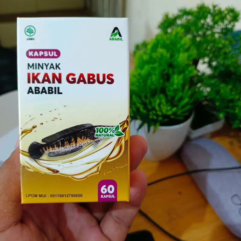 MINYAK IKAN GABUS ISI 60 - KAPSUL MINYAK IKAN GABUS ABABIL EKSTRAK IKAN KUTUK 4