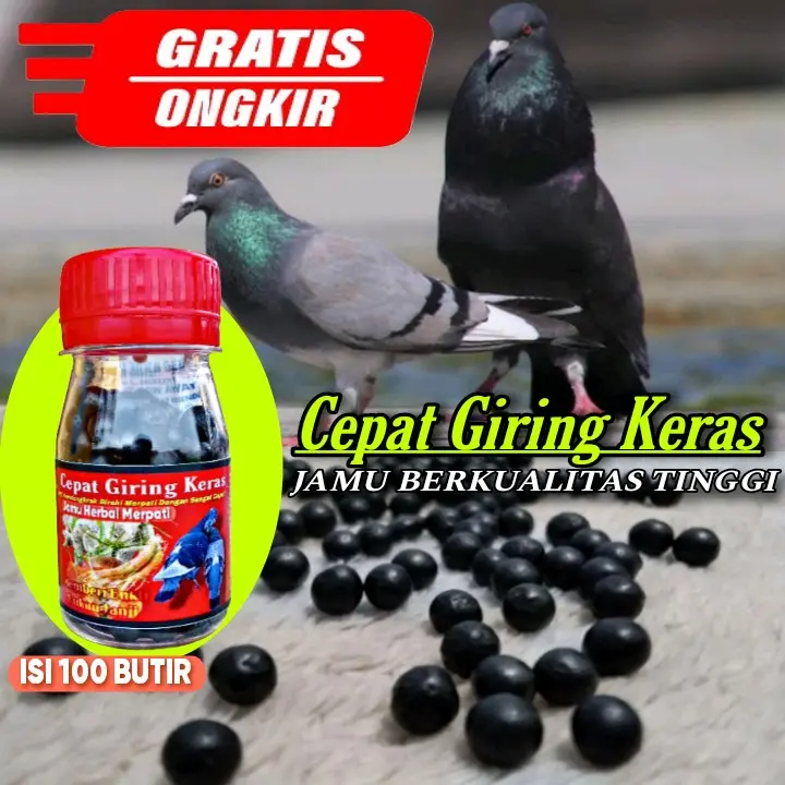 JAMU MERPATI CEPAT GIRING KERAS isi 100 butir sarang walet ferfect power jamu ginseng teki hff rjb xes4 elite 99 extra JP 0