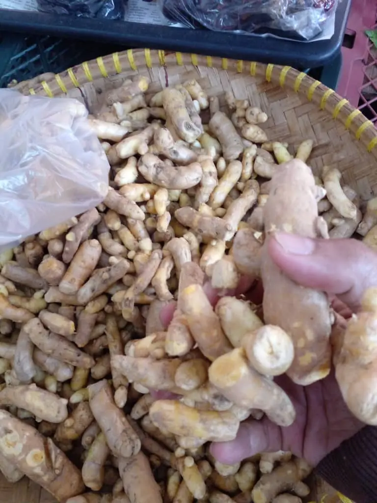 1.TEMU MANGGA/TEMU PAUH/UBI TEMU DAN TEMU KUNCI SEGAR DAN FRESH