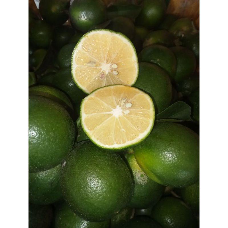 Lemon California 1 kg Fresh | dipetik Langsung dari Kebun