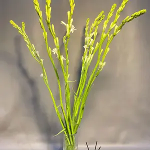 BUNGA SEDAP MALAM 15 TANGKAI JUMBO