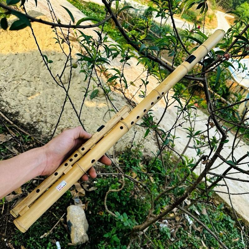 Sáo Mèo Kép Biểu Diễn Chuyên Nghiệp