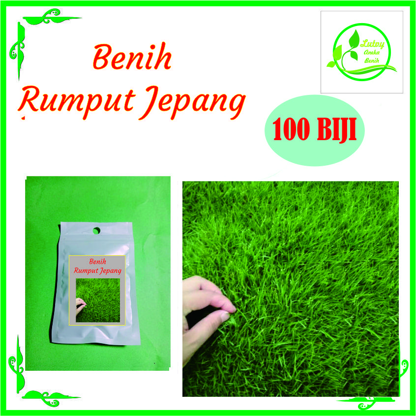 BENIH RUMPUT JEPANG ISI 100 BIJI