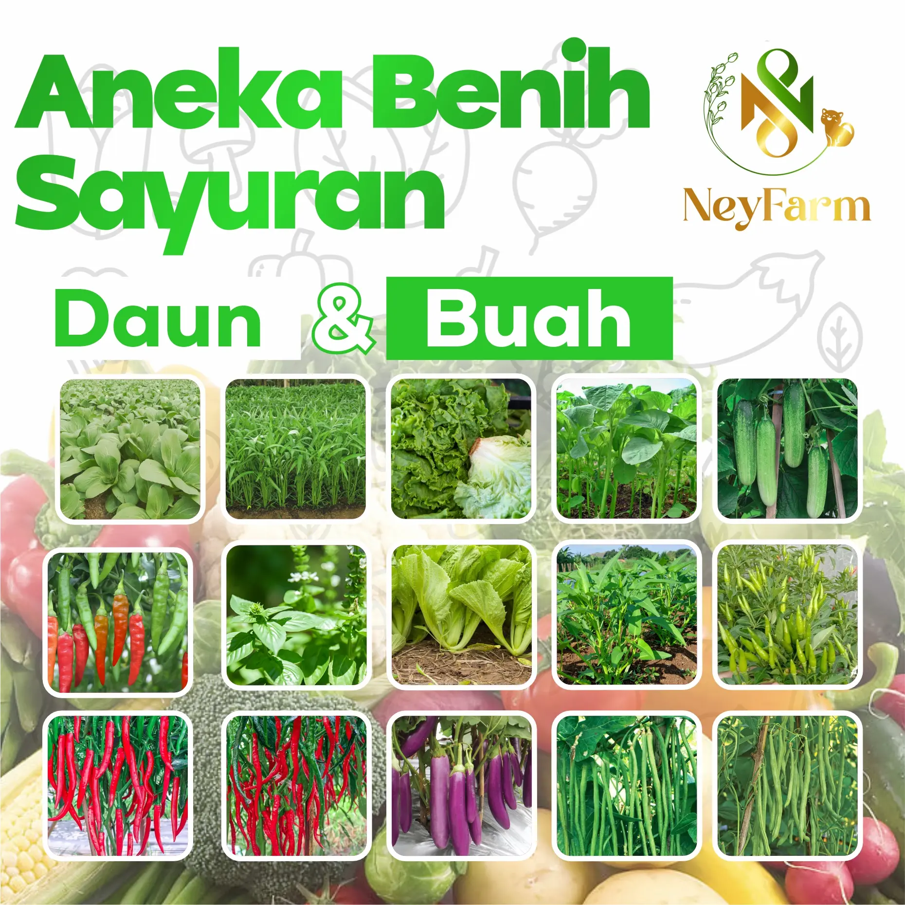 Benih Sayur Sayuran Daun Buah Rumahan Lengkap Berkualitas - Benih Sayur
