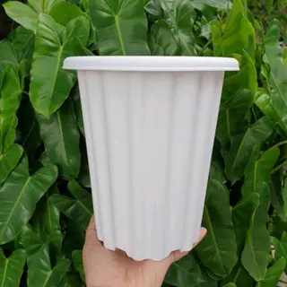 pot swiss putih ukuran 13 / plastik tahan lama / 8 pcs 100ribu