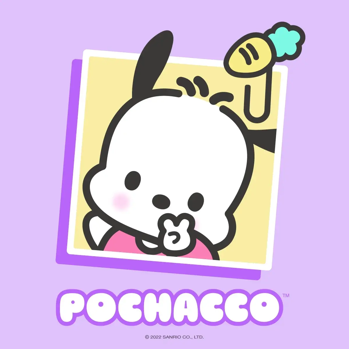 Pocation Exclusive Clearance Figurines