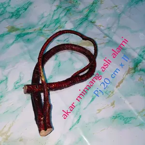 akar mimang asli alami alam ber tuah