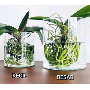 VAS BUNGA KACA BENING/ VAS TABUNG/ VAS TANAMAN AIR HIDROPONIK - VAS ROCK -Vas rock/ barley