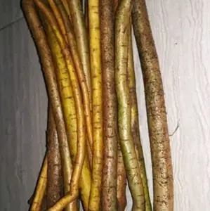 Akar tuba akar jenu fres hemat 250 gram