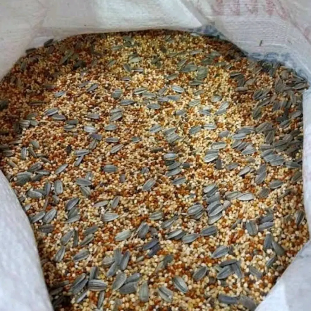 Milet kuning campur 1kg pakan burung makanan burung lovebird canary perkutut