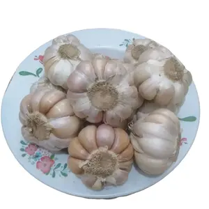 500 gram Bawang Putih Alami Penyedap Masakan Baso Rempah Herbal 500 gram Bawang Putih Alami Penyedap Masakan Baso Rempah Herbal