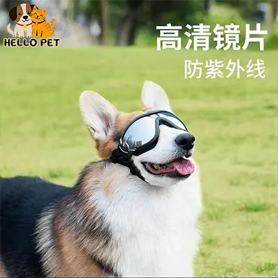 Outdoor Dog Goggles Fashion Sports Sunglasses with Adjustable Strap UV Protection for Travel Sk