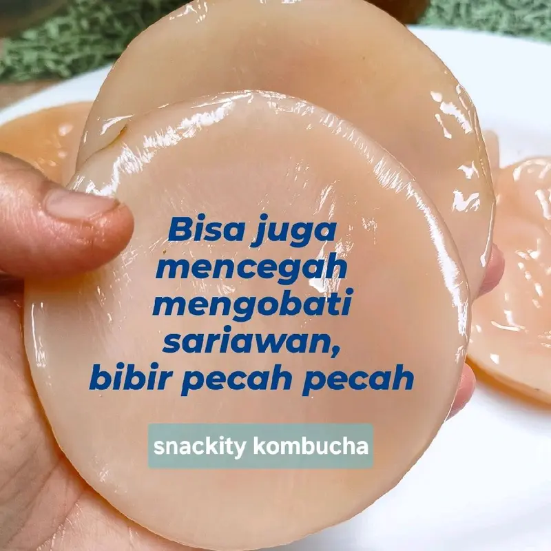 Scoby fermentasi kombucha diameter 8 cm, tebal 0,5 cm, lengkap dgn starter 200 ml 5