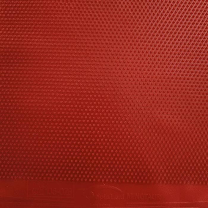 Gambar Spinlord Minotaur OX ( Long Pimple ) - Hitam, OX Tanpa Sponge dari ASSPORTKG Kota Administrasi Jakarta Utara 4 Tokopedia