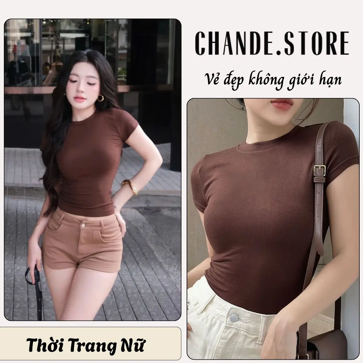Áo thun cổ tròn ôm body tôn dáng chất cotton lông mịn co giãn AC02 CHANDE STORE
