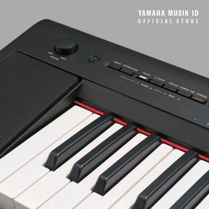Piaggero NP-35 / Stage Keyboard 2